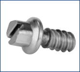 Slotted Screw